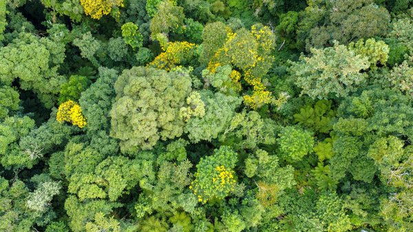 Quelles sont les stratégies pour développer une routine d'exercice physique régulière ?